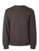 Slhreg-Dan Sweat Crew Neck Tops Sweatshirts & Hoodies Sweatshirts Grey Selected Homme