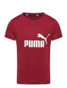 Ess Logo Tee G Sport T-Kortærmet Skjorte Burgundy PUMA