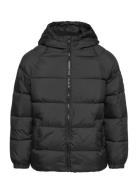 Hood Quilted Coat Foret Jakke Black Mango