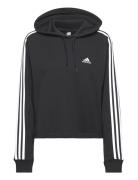 W 3S Ft Cr Hd Sport Sweatshirts & Hoodies Hoodies Black Adidas Sportswear