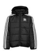 Padded Jacket Sport Jackets & Coats Puffer & Padded Black Adidas Originals