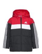 Padded Jacket Kids Sport Jackets & Coats Puffer & Padded Red Adidas Sportswear