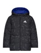 Jk Rev Pad Jkt Sport Jackets & Coats Puffer & Padded Black Adidas Sportswear