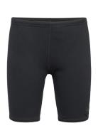 Boys Endurance+ Jammer Sport Swimshorts Black Speedo