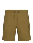 Beachshort Sport Shorts Green Champion