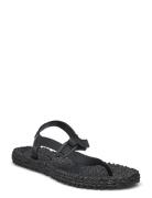 Flip Flop With Straps Shoes Summer Shoes Sandals Flip Flops Black Ilse Jacobsen