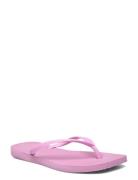 Hav. Square Logo Pop U Shoes Summer Shoes Sandals Flip Flops Pink Havaianas