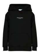 Nkmbrody Ls Nreg Sweat Wh Bru Noos Tops Sweatshirts & Hoodies Hoodies Black Name It