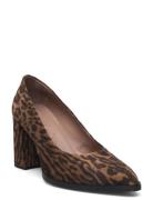 Iconic Shoes Heels Pumps Classic Brown Wonders