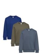 Sweatshirt Basic Solid 3 Pack Tops Sweatshirts & Hoodies Sweatshirts Multi/patterned Lindex