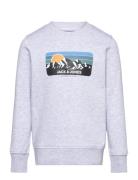 Jjpeak Sweat Crew Neck Jnr Tops Sweatshirts & Hoodies Sweatshirts Grey Jack & J S