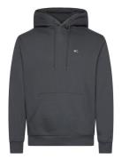 Tjm Reg S Flag Hoodie Tops Sweatshirts & Hoodies Hoodies Grey Tommy Jeans