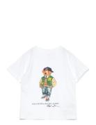 Polo Bear Cotton Jersey Tee Tops T-Kortærmet Skjorte White Ralph Lauren Kids