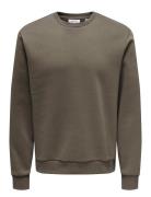 Onsceres Crew Neck Noos Tops Sweatshirts & Hoodies Sweatshirts Brown ONLY & SONS