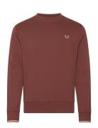 Crew Neck Sweatshirt Tops Sweatshirts & Hoodies Sweatshirts Red Fred Perry