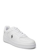 Masters Court Leather Sneaker Low-top Sneakers Multi/patterned Polo Ralph Lauren