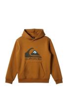 Big Logo Hoodie Youth Tops Sweatshirts & Hoodies Hoodies Brown Quiksilver