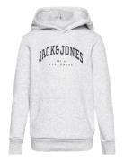 Jjecaleb Varsity Sweat Hood Noos Jnr Tops Sweatshirts & Hoodies Hoodies Grey Jack & J S