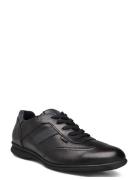 Vernon Low-top Sneakers Black Lloyd