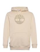 Kennebec River Tree Logo Hoodie Angora Tops Sweatshirts & Hoodies Hoodies Beige Timberland