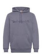 Hampthon Hoodie Folkst Gray Tops Sweatshirts & Hoodies Hoodies Blue Timberland