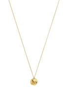 Paxton Long Necklace Accessories Jewellery Necklaces Chain Necklaces Gold Syster P