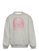 Sweatshirt Tops Sweatshirts & Hoodies Sweatshirts Grey Sofie Schnoor Baby And Kids