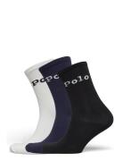 Bci Cotton-Tissue Weight Polo Lingerie Socks Regular Socks Black Polo Ralph Lauren