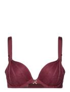 Xquisite Extra Push-Up Bra Lingerie Bras & Tops Push Up Bras Burgundy Chantelle X