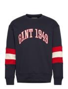 Colorblock Sleeve Cneck Tops Sweatshirts & Hoodies Sweatshirts Navy GANT