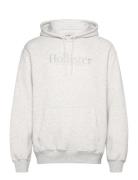 Hco. Guys Sweatshirts Tops Sweatshirts & Hoodies Hoodies Grey Hollister