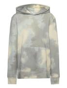 Regular Aop Sweatshirt Tops Sweatshirts & Hoodies Hoodies Grey Tom Tailor