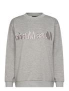 Cmeva-Sweatshirt Tops Sweatshirts & Hoodies Sweatshirts Grey Copenhagen Muse