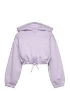 Cropped Cutline Hoody Jacket Tops Sweatshirts & Hoodies Hoodies Purple Tom Tailor