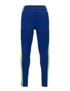 Squadra21 Training Pant Youth Bottoms Sweatpants Blue Adidas Performance