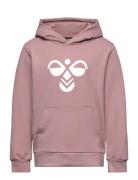 Hmlcuatro Hoodie Sport Sweatshirts & Hoodies Hoodies Pink Hummel