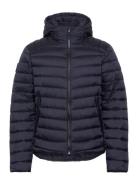 Hooded Fuji Sport Padded Jkt Tynd Jakke Navy Superdry