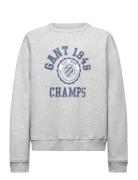 Gant 1949 Raglan C-Neck Tops Sweatshirts & Hoodies Sweatshirts Grey GANT