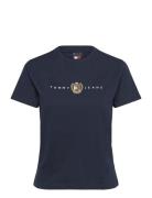 Tjw Reg Crest Linear Tee Ext Tops T-shirts & Tops Short-sleeved Navy Tommy Jeans