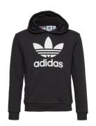 Trefoil Hoodie Sport Sweatshirts & Hoodies Hoodies Black Adidas Originals