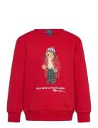 Polo Bear Fleece Sweatshirt Tops Sweatshirts & Hoodies Sweatshirts Red Ralph Lauren Kids