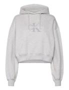 Chenille Monologo Hoodie Tops Sweatshirts & Hoodies Hoodies Grey Calvin Klein Jeans