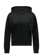 Hoody Ls Velours Tops Sweatshirts & Hoodies Hoodies Black Hunkemöller