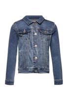 Dj-Denim Jackets Outerwear Jackets & Coats Denim & Corduroy Blue Levi's