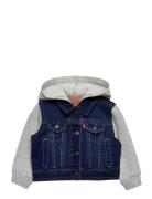 Levi's® Hooded Trucker Jacket Outerwear Jackets & Coats Denim & Corduroy Blue Levi's