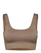 Espresso Ribbed Seamless Bra Lingerie Bras & Tops Sports Bras - All Beige Aim´n