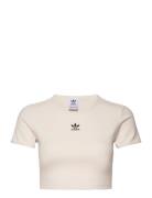 Rib Tee Sport Crop Tops Short-sleeved Crop Tops Cream Adidas Originals