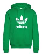 Adicolor Classics Trefoil Hoody Sport Men Sport Clothing Sport Sweatshirts & Hoodies Sport Hoodies Green Adidas Originals