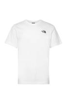 M Ss Box Nse Celebration Tee Sport Men Sports Clothes Sport Tops Sport T-Skjorte White The North Face