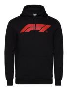 F1 Ess Logo Hoodie Fl Sport Sport Clothing Sport Sweatshirts & Hoodies Sport Hoodies Black PUMA Motorsport